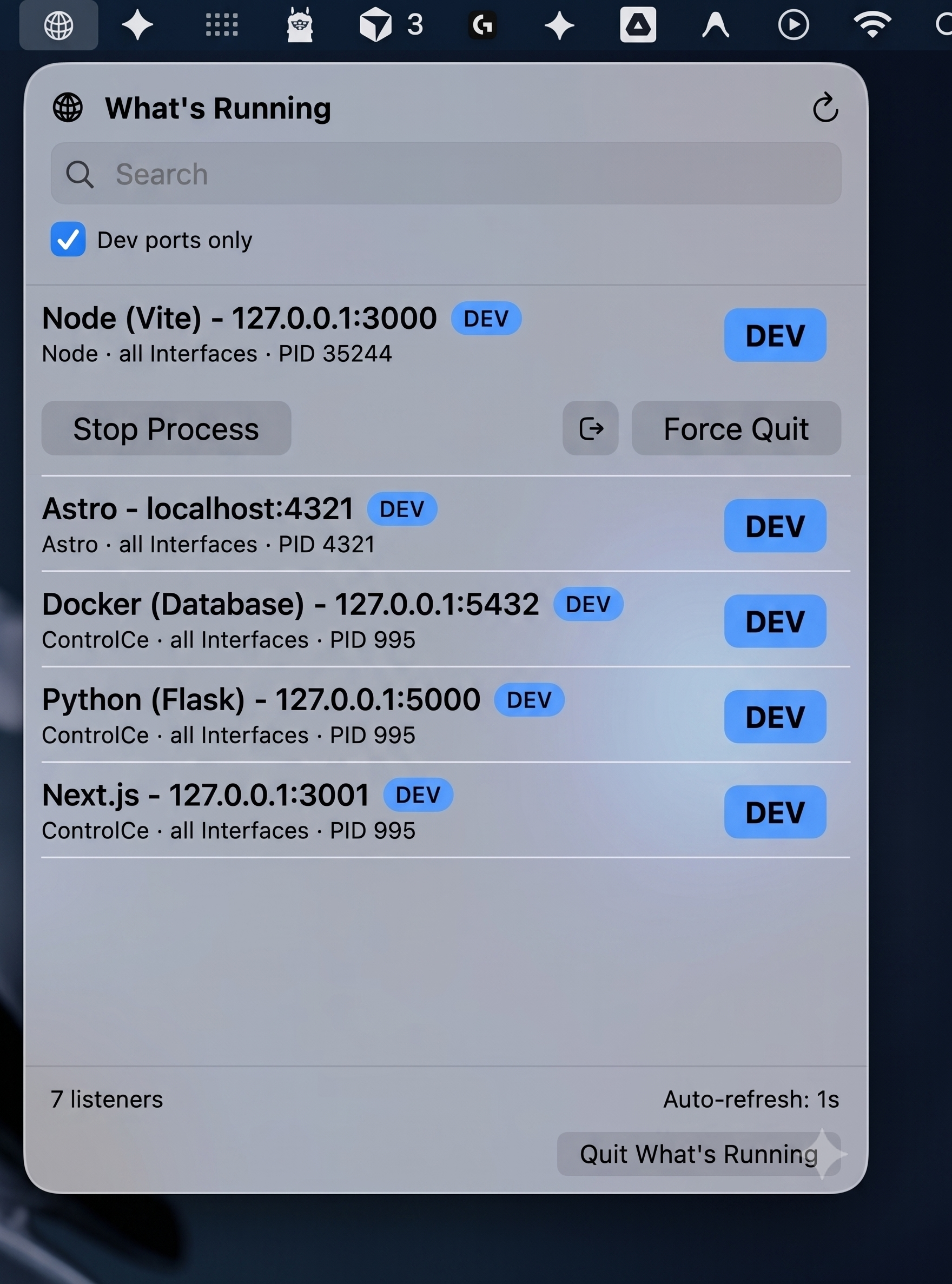Detailed screenshot of the main What’s Running list, showing only developer-tagged ports for a clean view