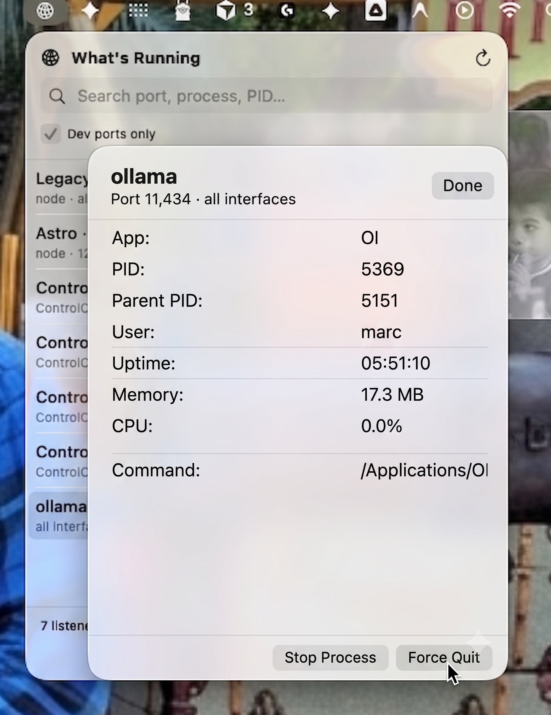 Close-up of the detailed process view for an Ollama server, with a stylized cursor emphasizing the Force Quit button